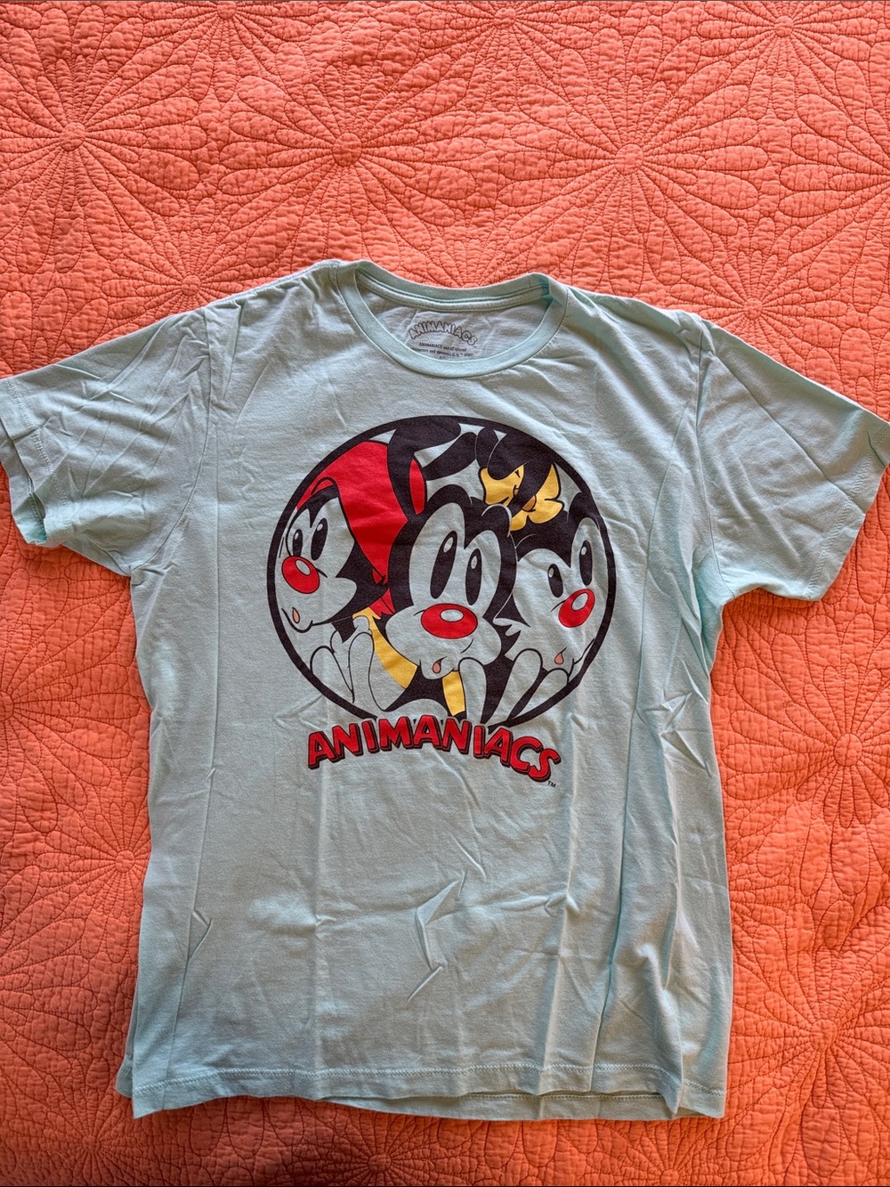 Animaniacs Kids Graphic Tee - Light Blue